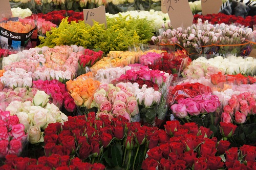 Flowers Amsterdam