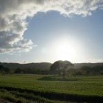Sunset across Umbria