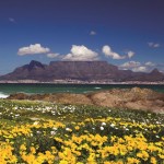 Table Mountain South Africa