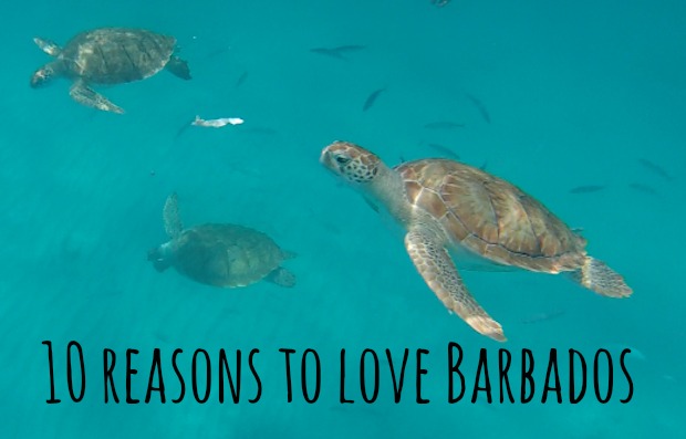 10 Reasons To Love Barbados