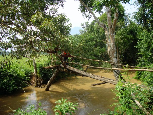 The bridge