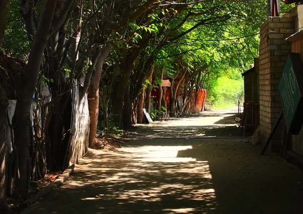 Narrow streets on Gili Trewangen