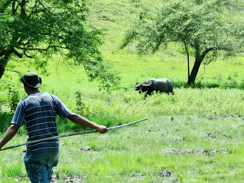 Visiting Komodo National Park