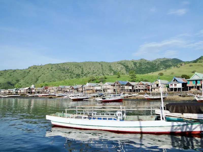 Visiting Komodo National Park