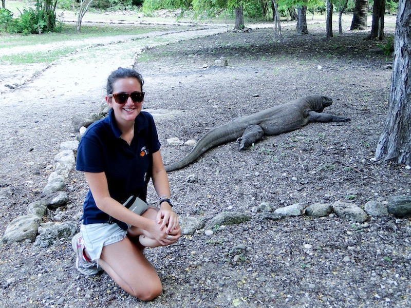 Visiting Komodo National Park, my trip to see the Komodo Dragons in Indonesia