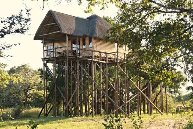 treehouse on safari in kruger national park
