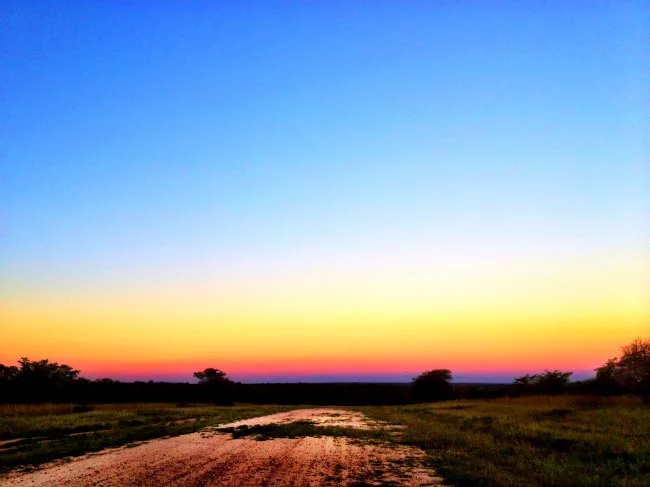 Sunset over Thornybush Game Reserve