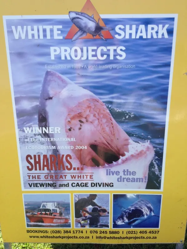 white shark projects South Africa