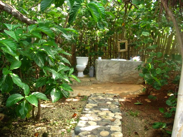 Jungle bathroom