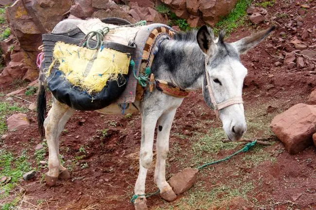 High Atlas Mountains, Morocco