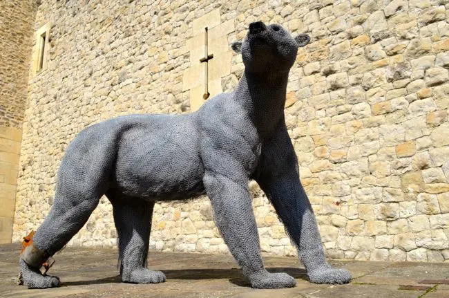 polar bear at the tower of london