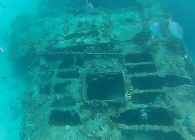 Shipwreck in Barbados