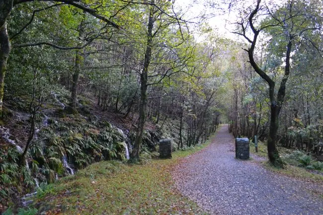 Autumn in Ireland