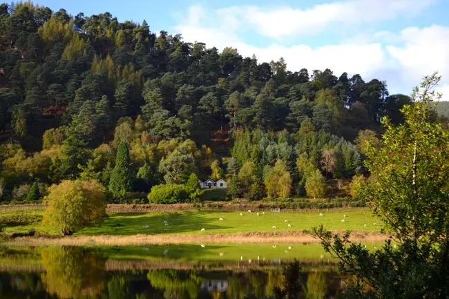 Dream home in Ireland