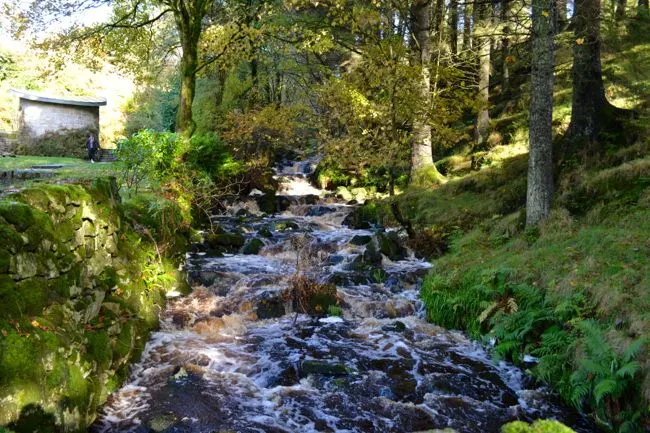 Irish countryside