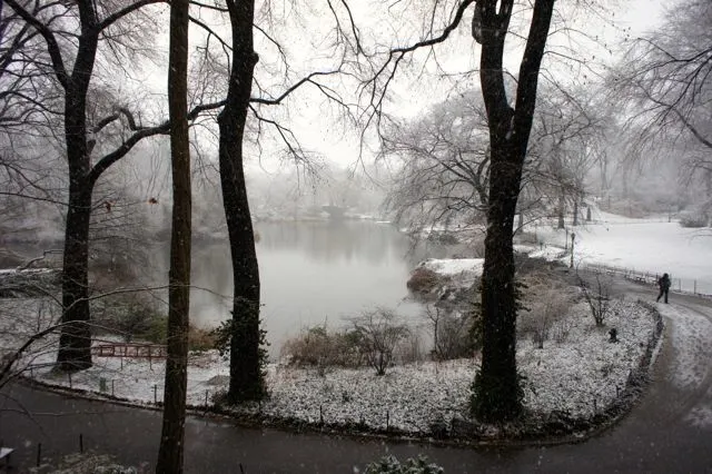 Central Park in the snow NYC