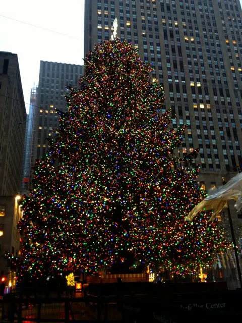 Christmas tree at Rockerfeller Centre