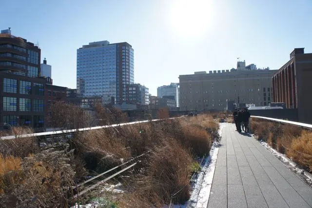 Views from the High Line New York