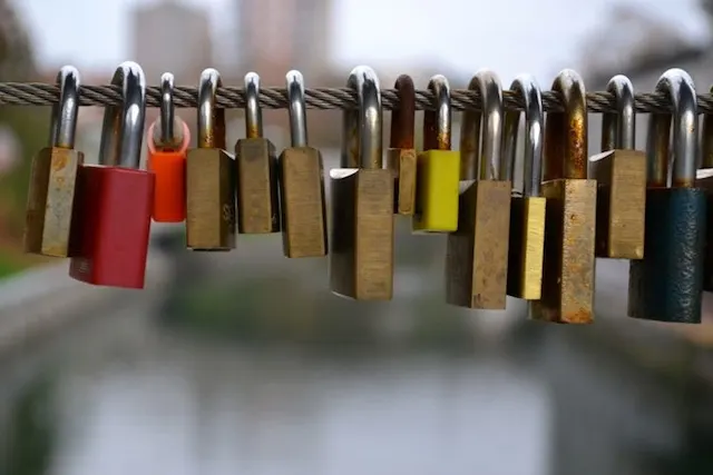 locks on the bridge in Ljubljana