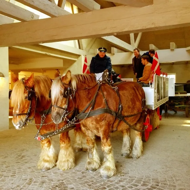 A horse ride in Copenhagen