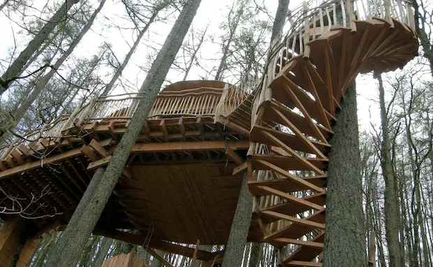 Treehouse experience in Wales
