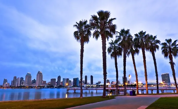 California Palm Trees and City of San Diego, California USA_95925931