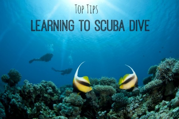 Top tips for when you’re learning to scuba dive - The Travel Hack