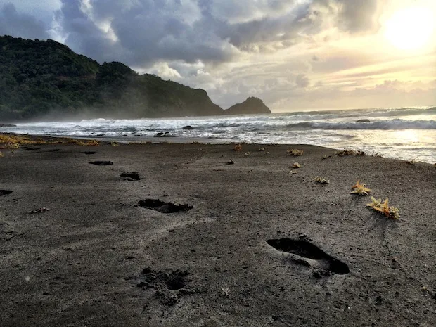 Footsteps on the beach in Dominica