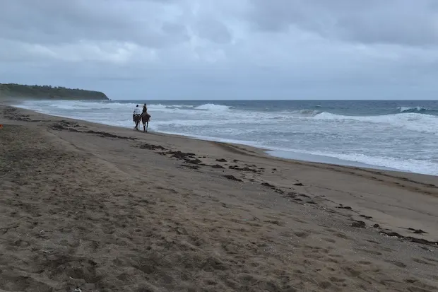 Horse riding along the beach