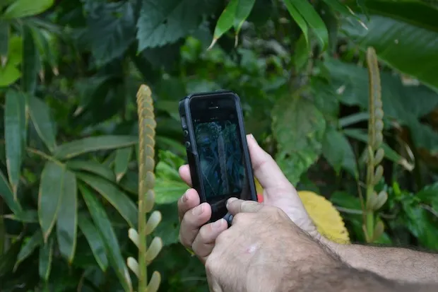 Marty Photographing eveything at Ottleys Plantation House St Kitts