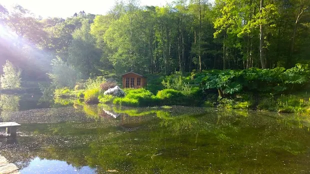 Penmaenpool pond in the morning