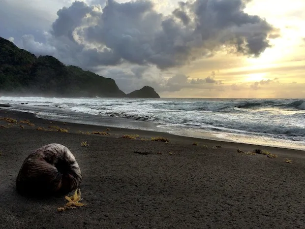 Rosealie Bay Beach Dominica