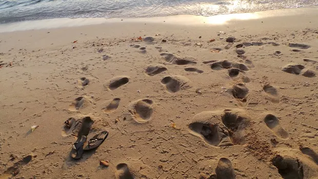 Sunset walk along the beach