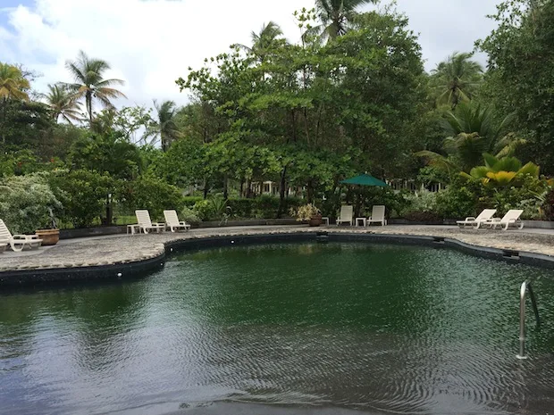 Swimming pool at rosalie bay