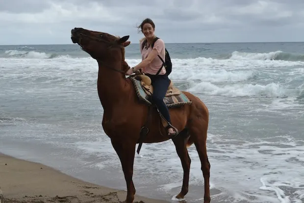 The Travel Hack horse riding in st kitts