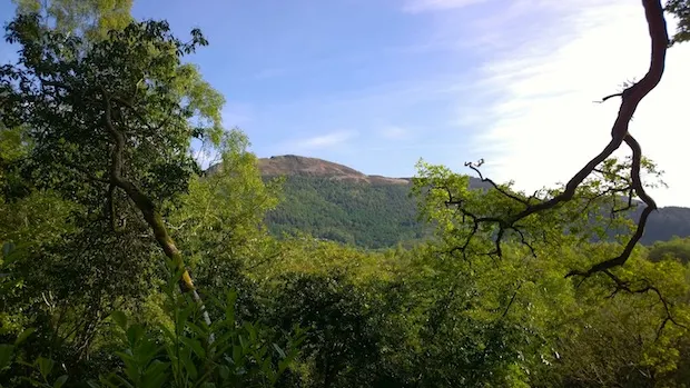 View from Penmaenpool