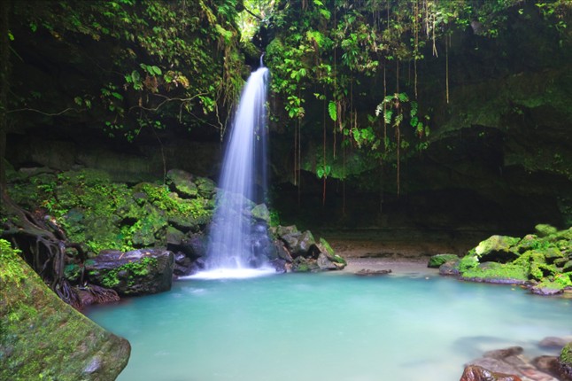 My next adventure in Dominica