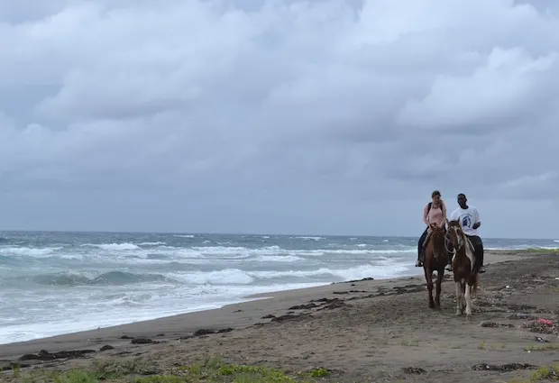 horse riding in st kitts