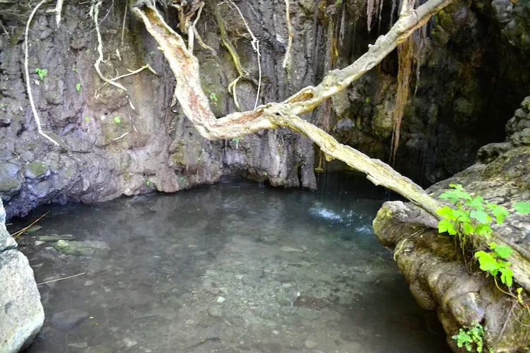 Baths of Aphrodite in Cyprus