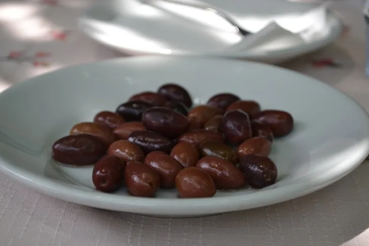 Olives in Slovenia