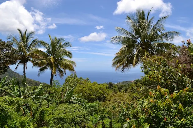 Views over Dominica