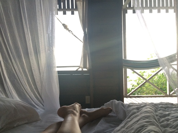 Waking up at Jungle Bay Dominica.