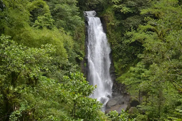 Waterfall in Dominica