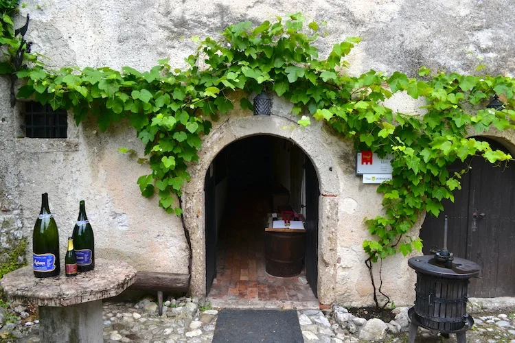 Wine Tasting Castle Lake Bled