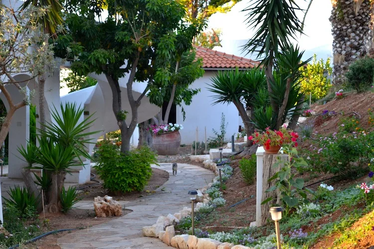 Zening Resorts in Latchi, Cyprus