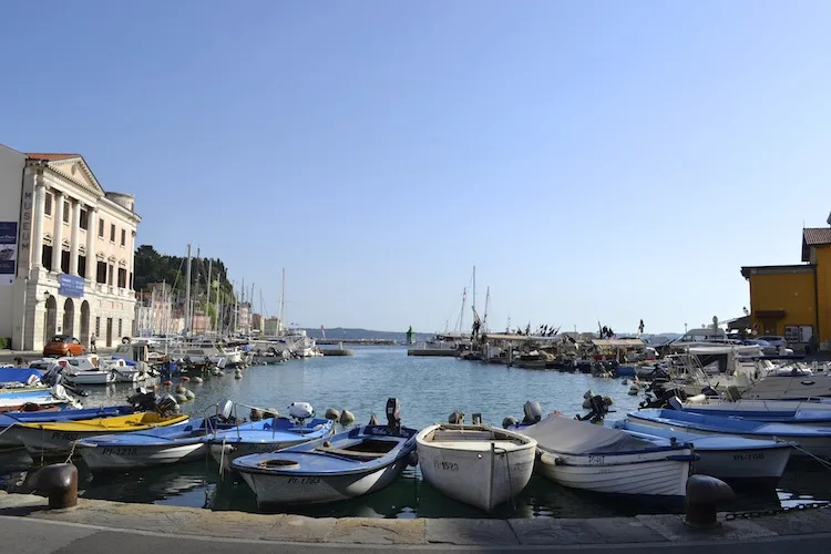 Boats in Piran