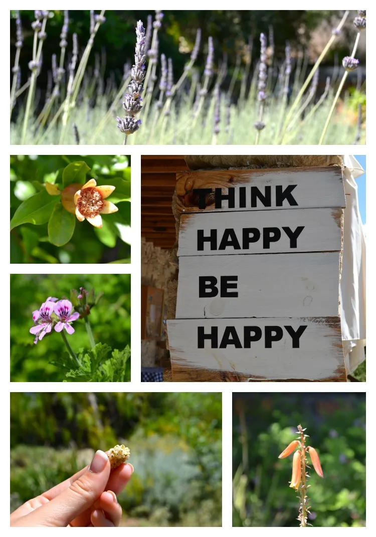 Cyprus Herbal Garden.jpg