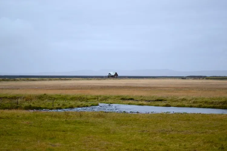 Icelandic views