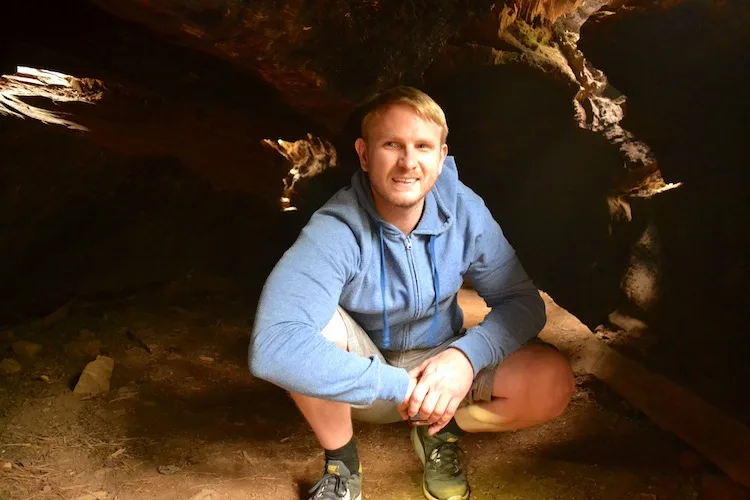 Inside huge trees in yosemite