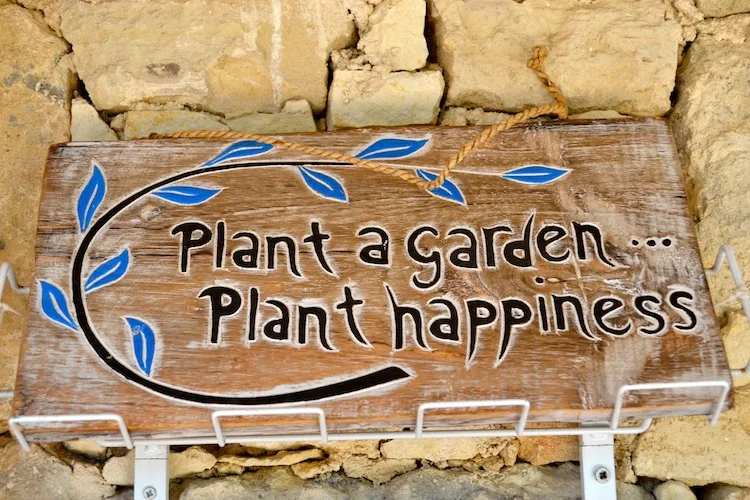 Plant a garden plant happiness